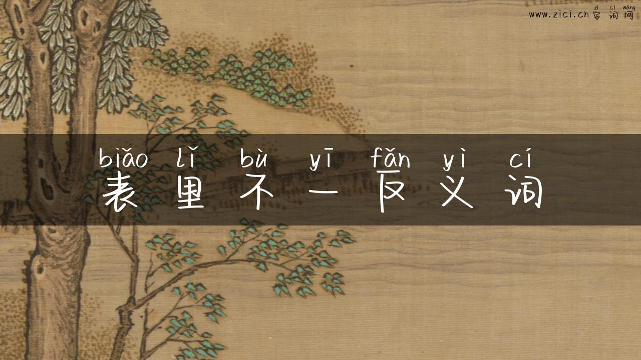 表里不一反义词