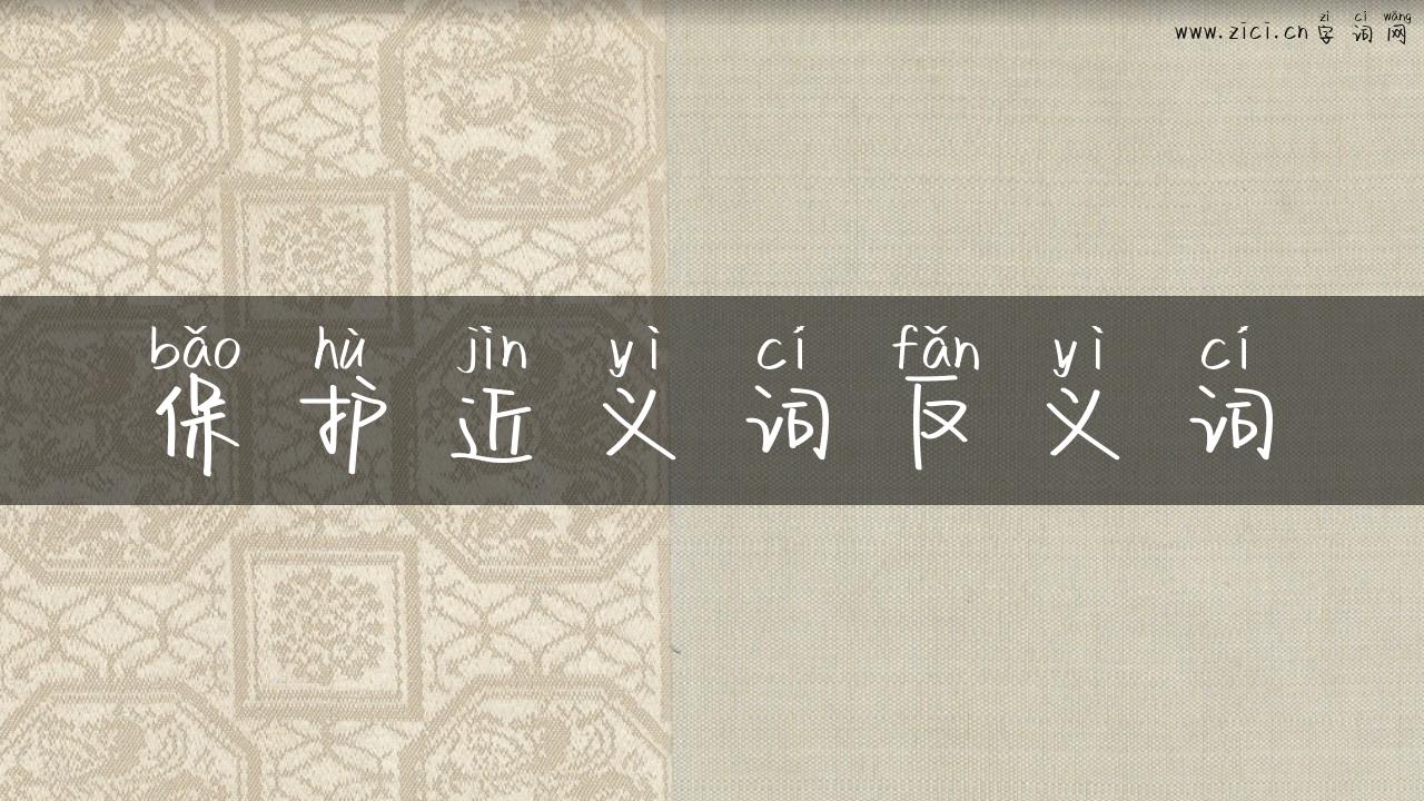 保护近义词反义词