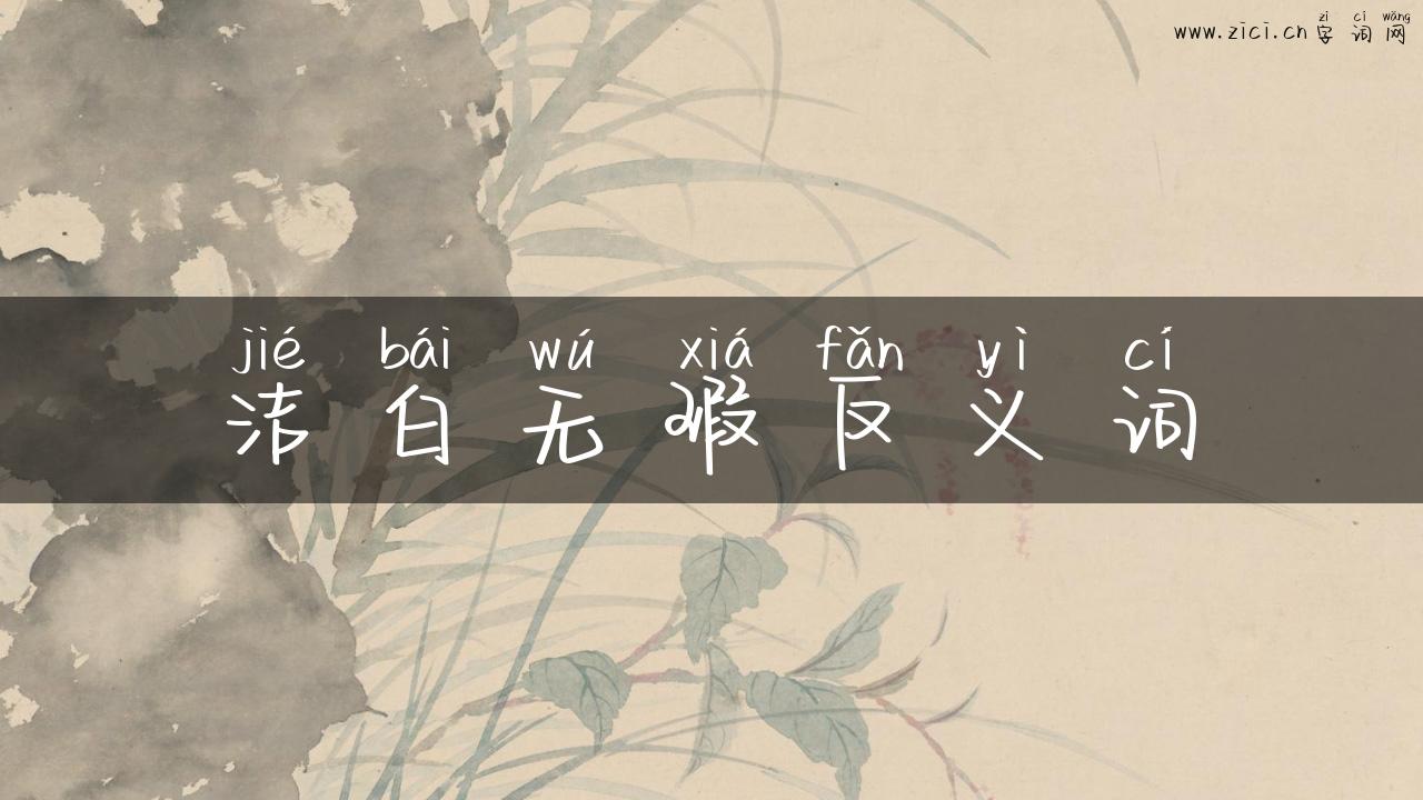 洁白无瑕反义词