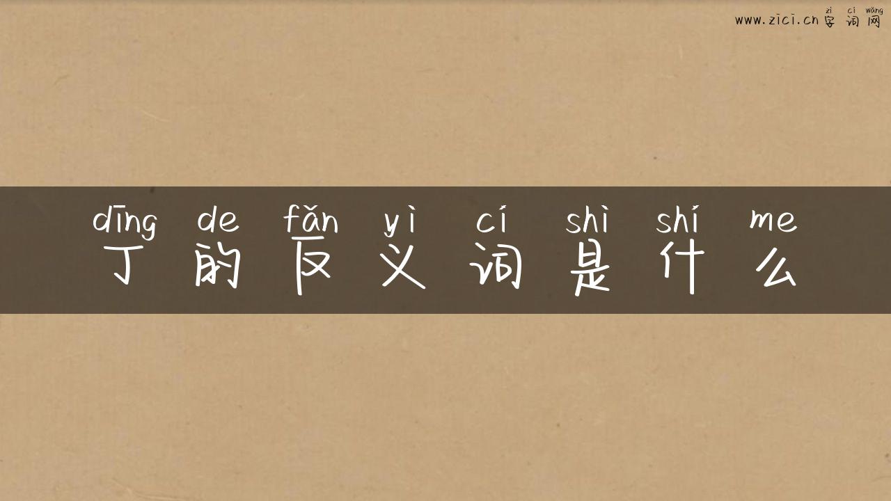丁的反义词是什么