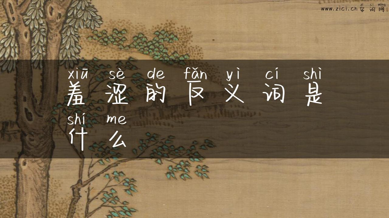 羞涩的反义词是什么