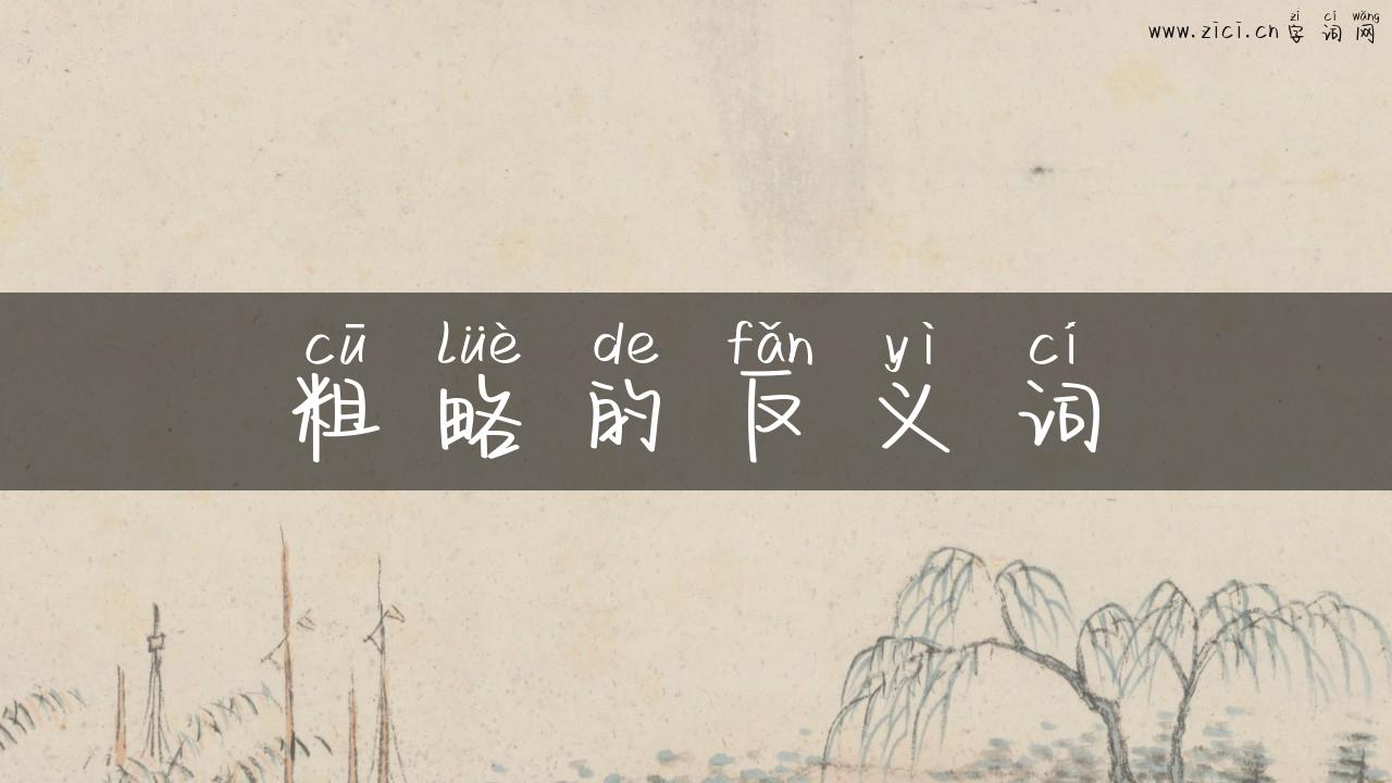 粗略的反义词