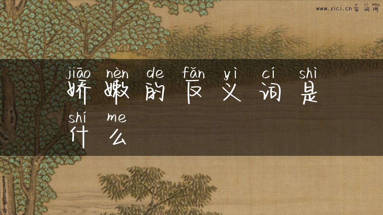 娇嫩的反义词是什么