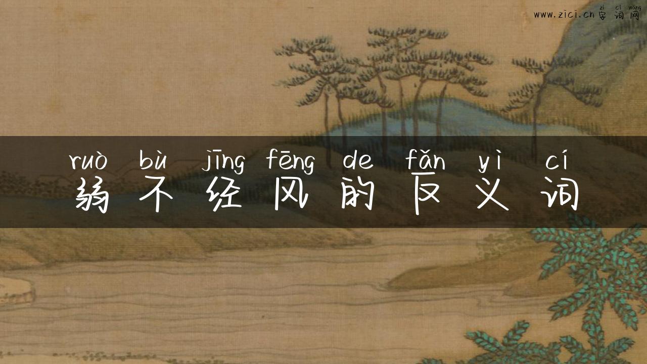 弱不经风的反义词