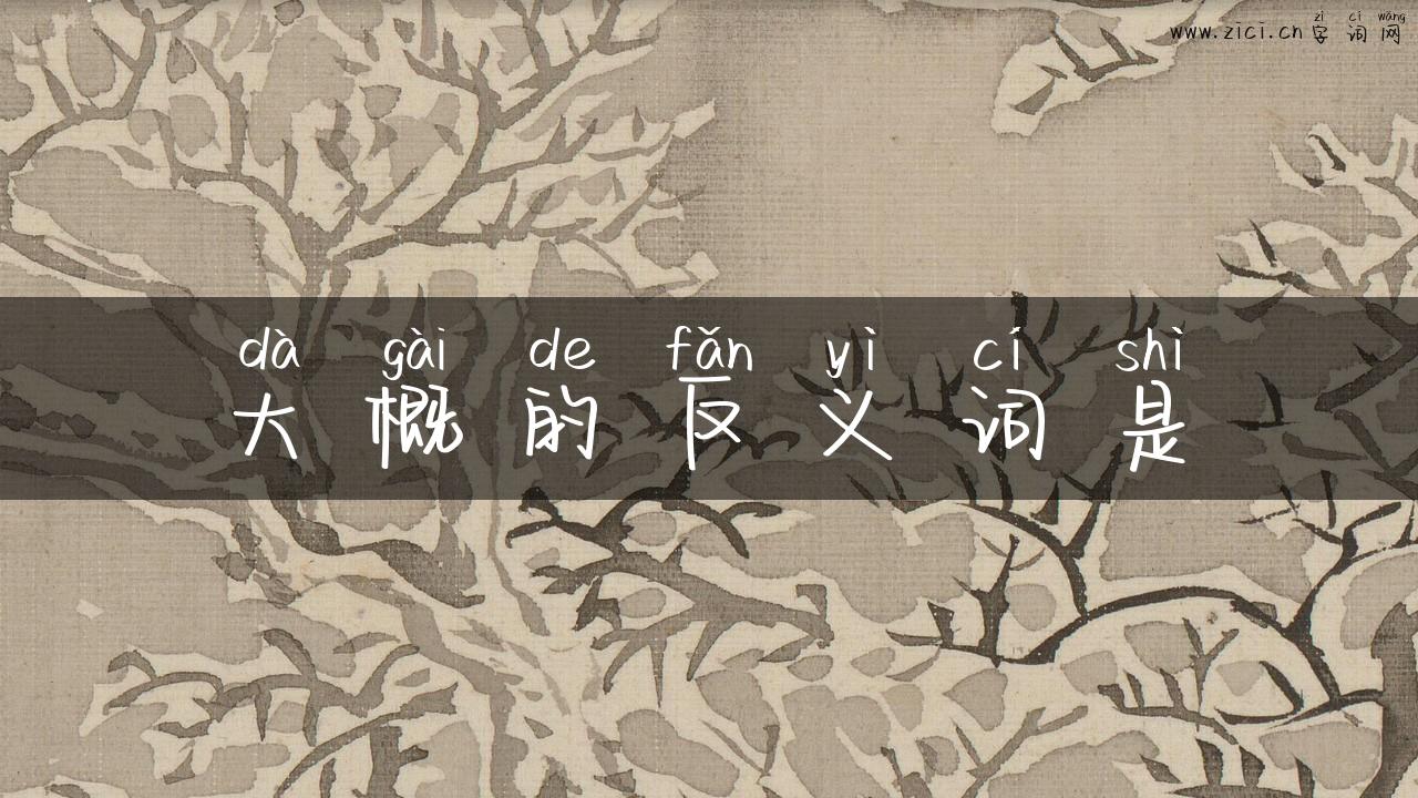 大概的反义词是