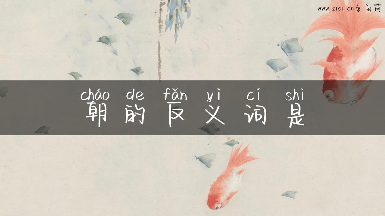 朝的反义词是
