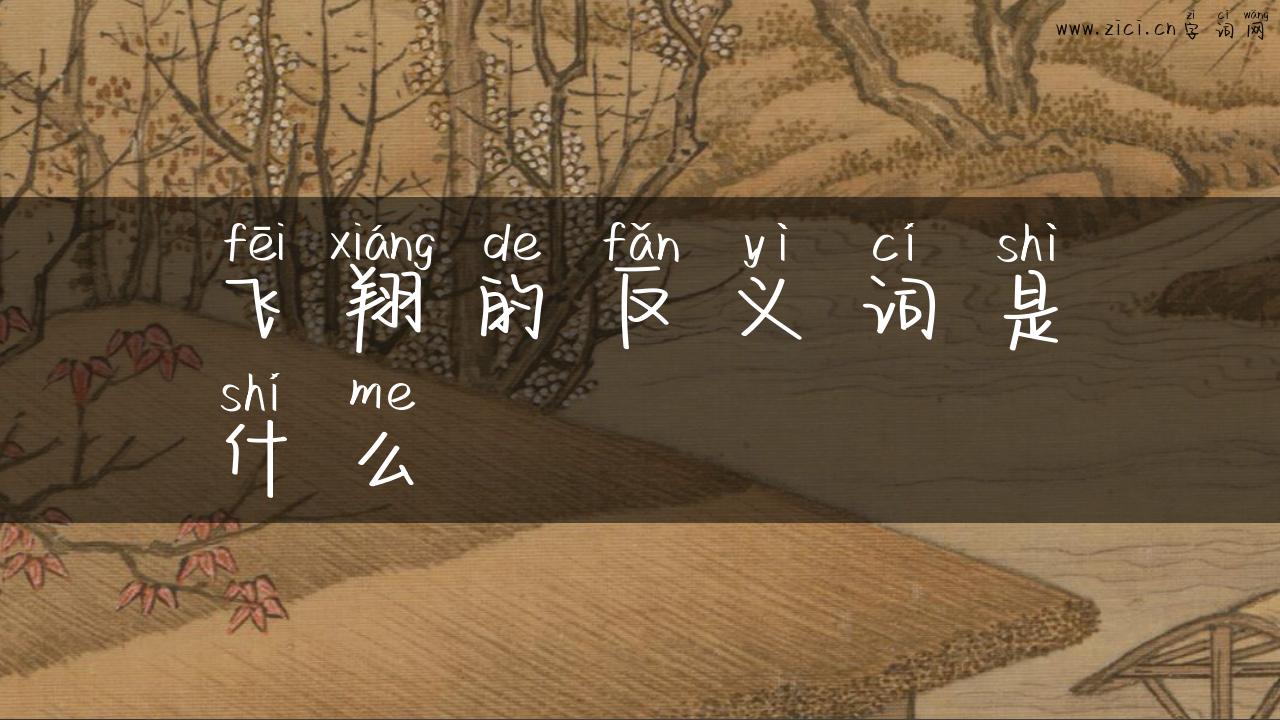 飞翔的反义词是什么