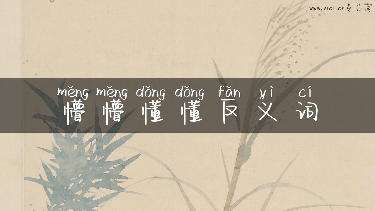 懵懵懂懂反义词