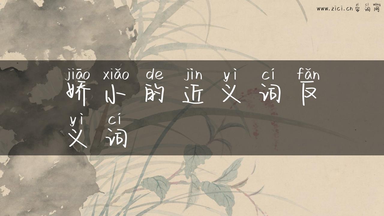 娇小的近义词反义词