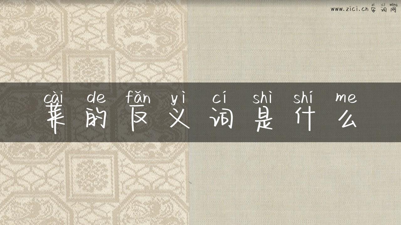 菜的反义词是什么