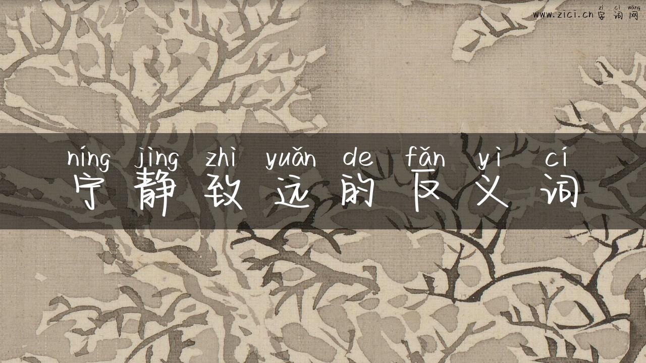 宁静致远的反义词
