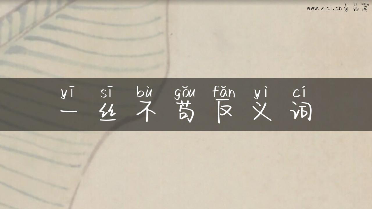 一丝不苟反义词