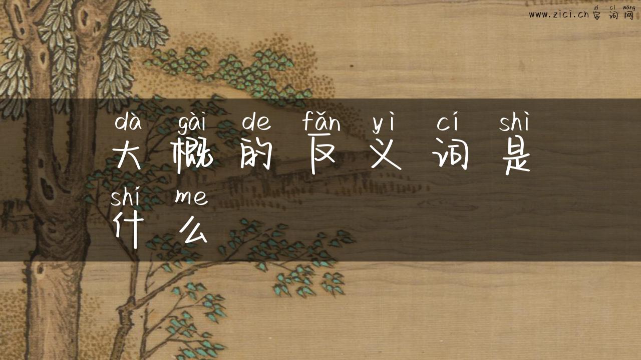 大概的反义词是什么