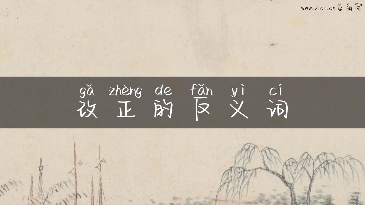 改正的反义词