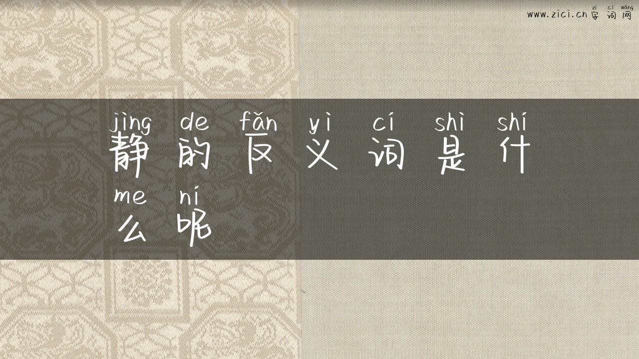 静的反义词是什么呢