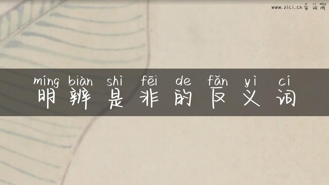 明辨是非的反义词