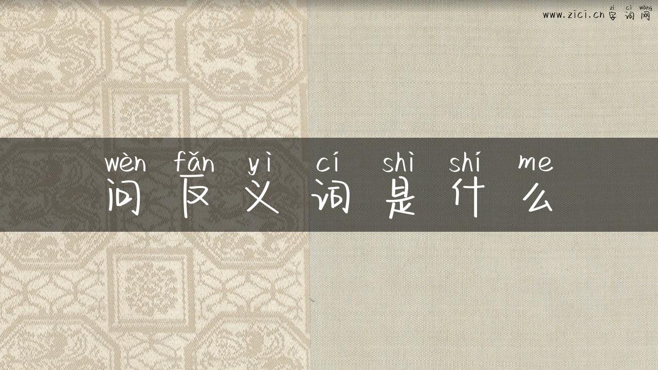 问反义词是什么