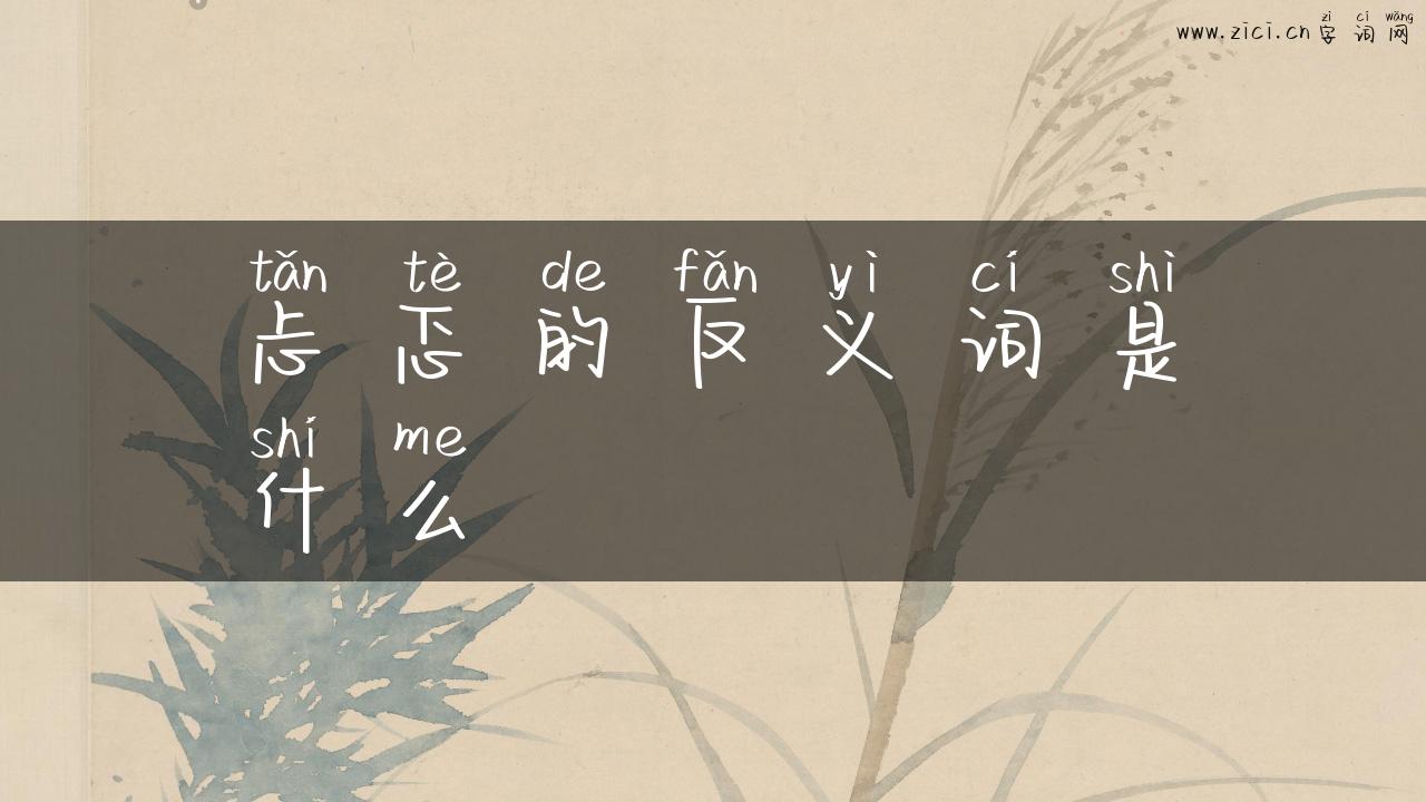 忐忑的反义词是什么