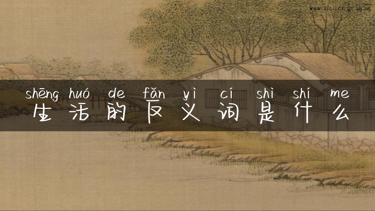 生活的反义词是什么