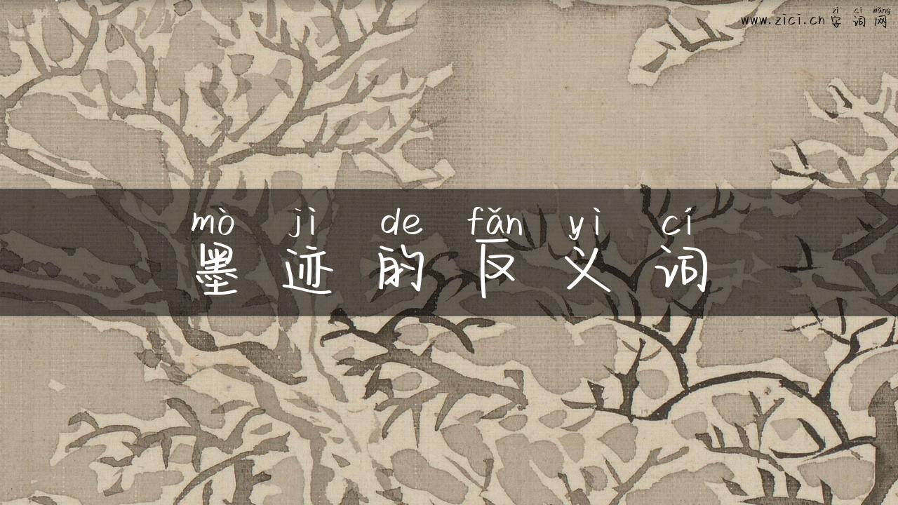 墨迹的反义词