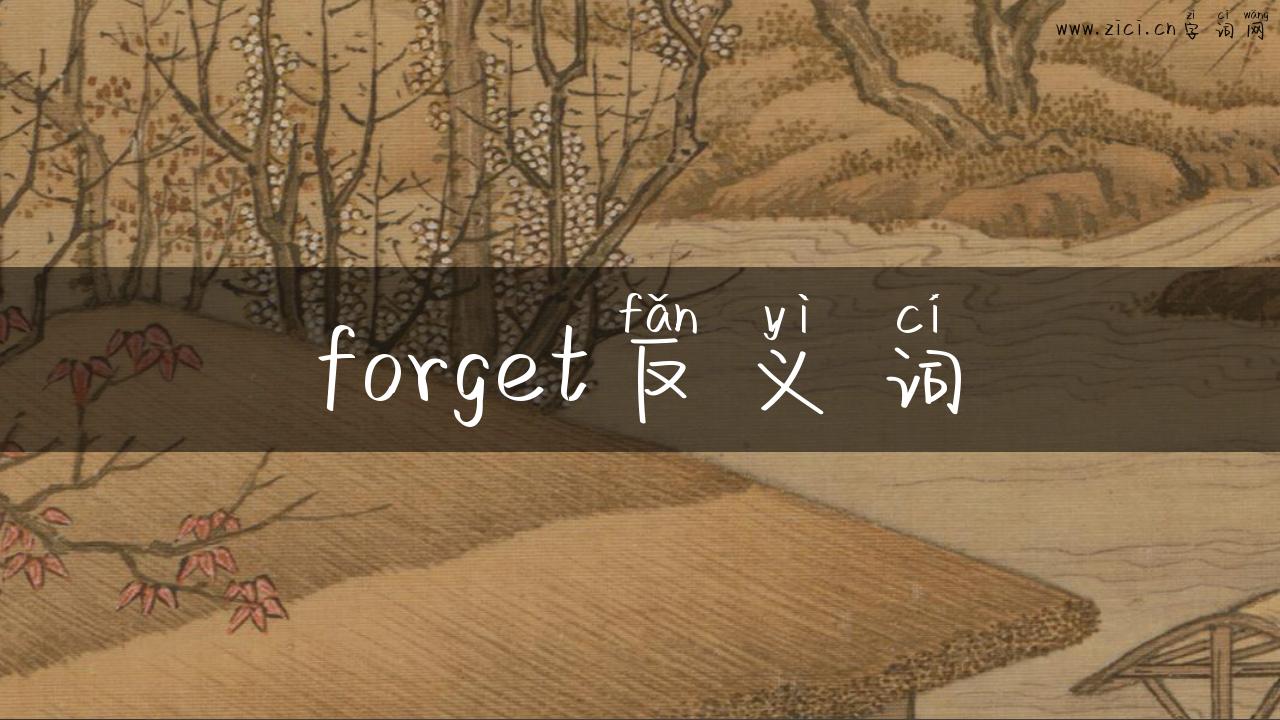 forget反义词
