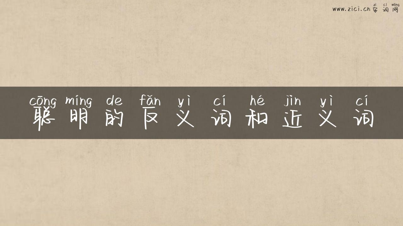 聪明的反义词和近义词