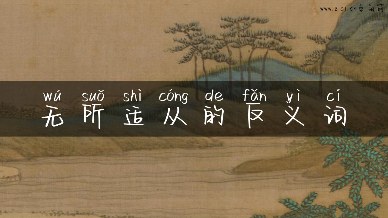 无所适从的反义词