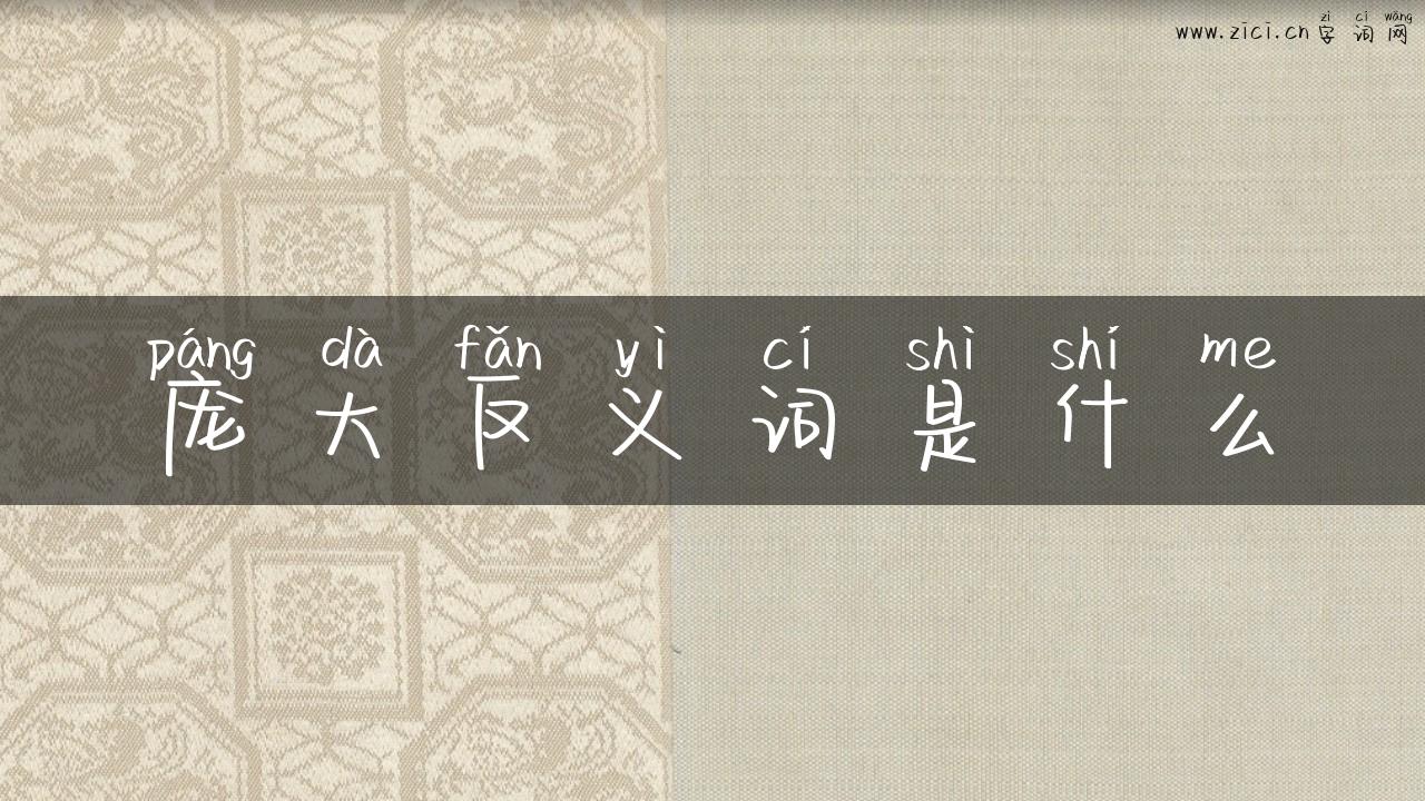 庞大反义词是什么