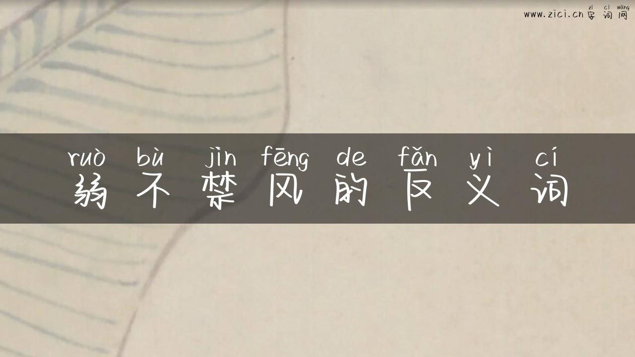 弱不禁风的反义词