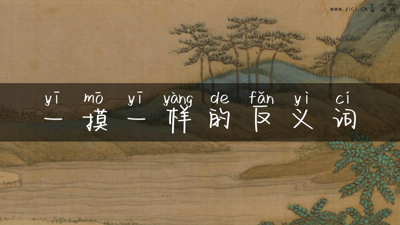 一摸一样的反义词