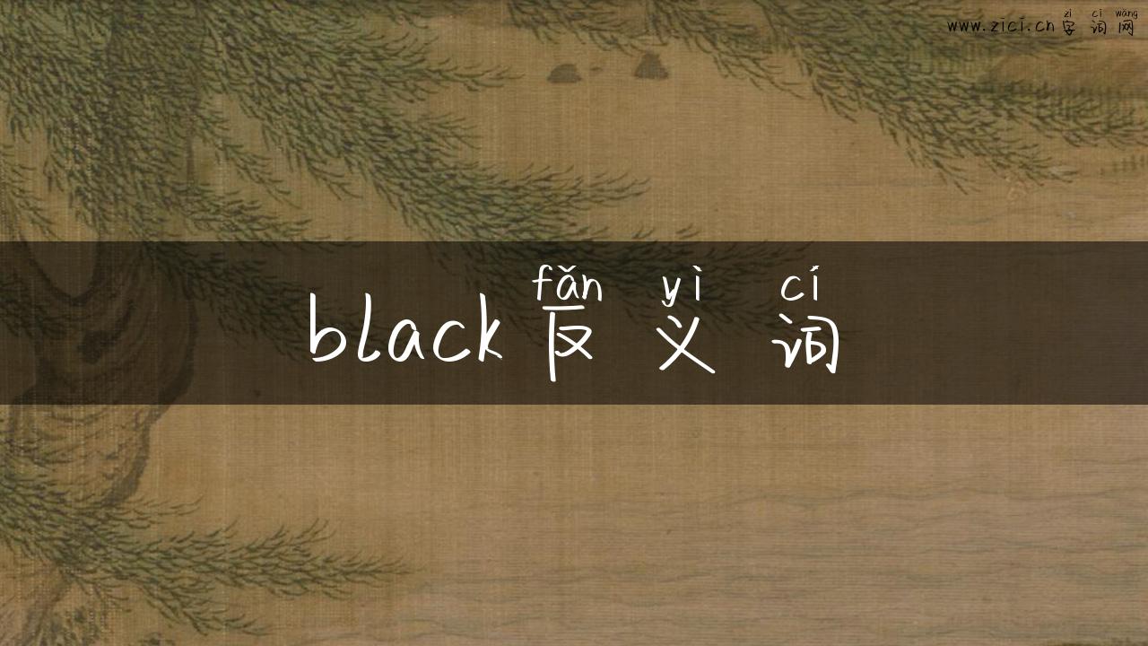 black反义词