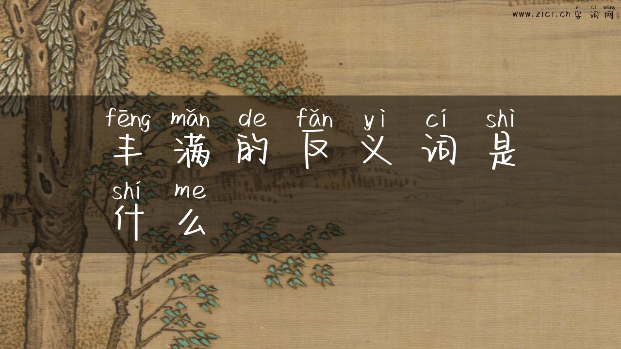 丰满的反义词是什么