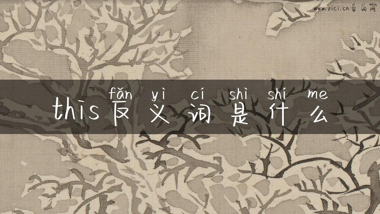 this反义词是什么