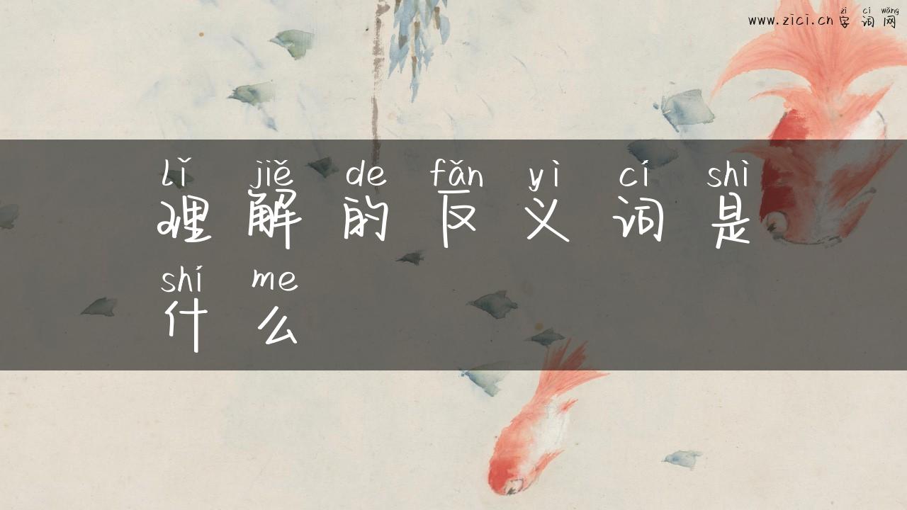 理解的反义词是什么