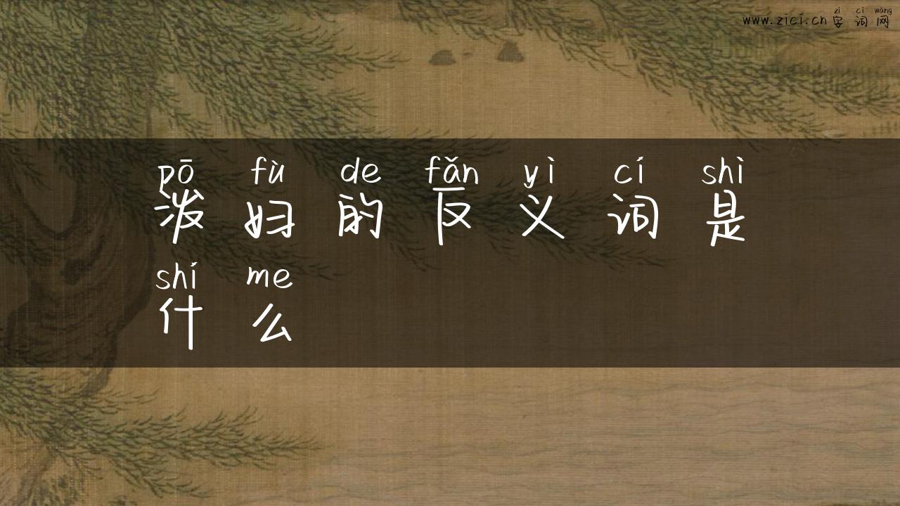 泼妇的反义词是什么