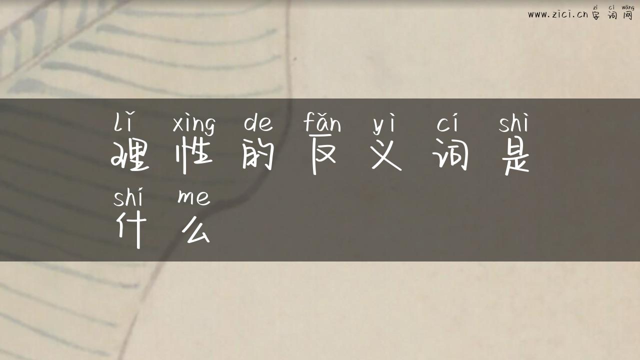 理性的反义词是什么