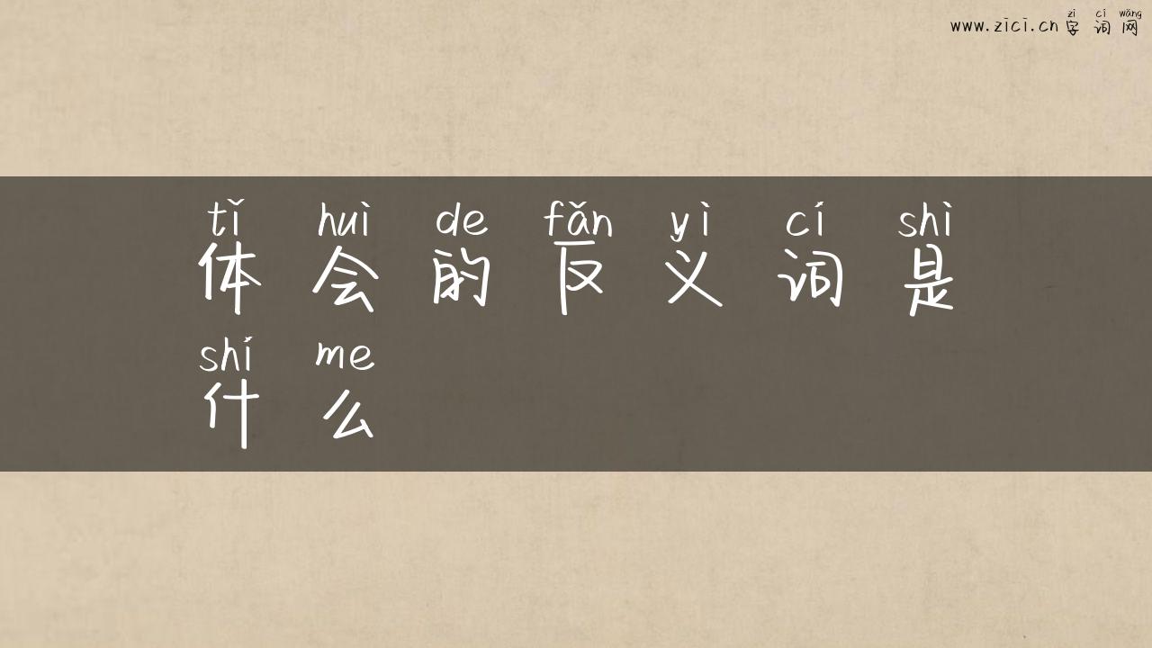 体会的反义词是什么