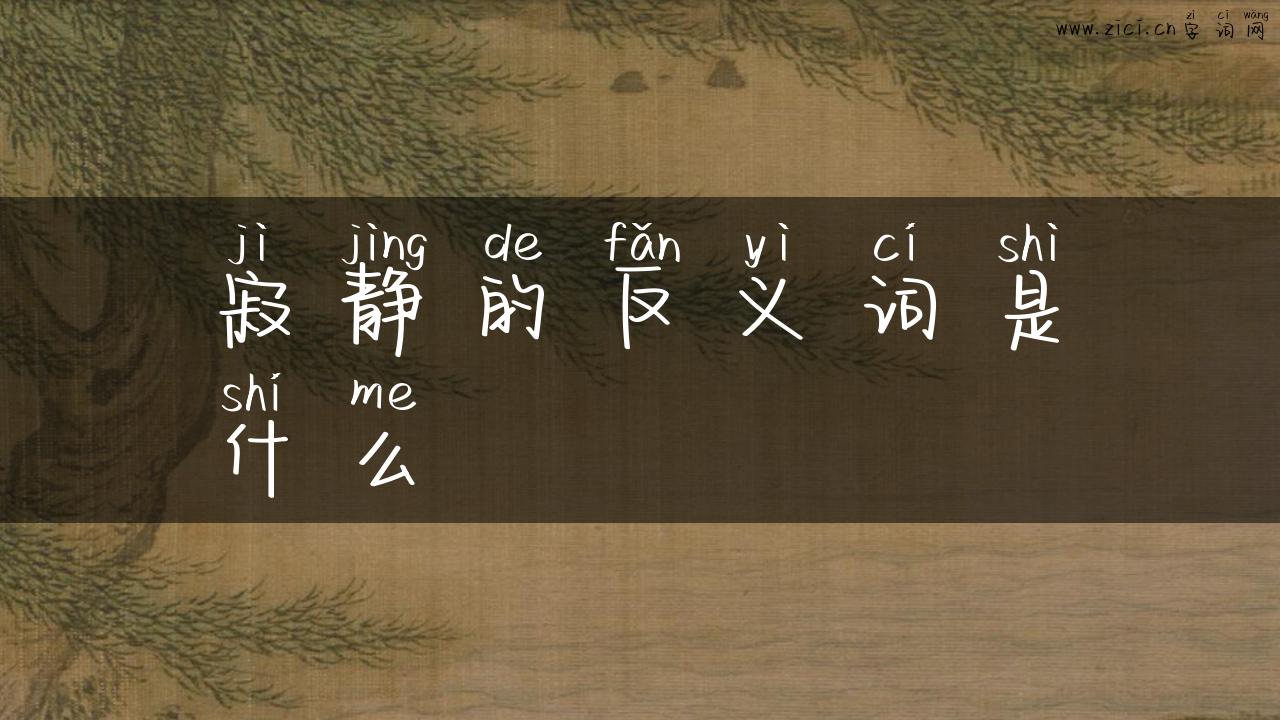 寂静的反义词是什么