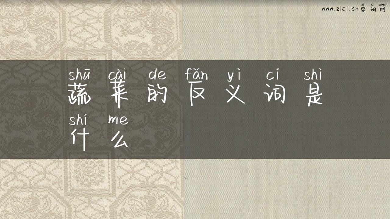 蔬菜的反义词是什么