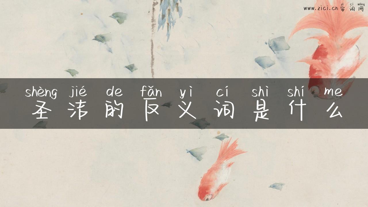 圣洁的反义词是什么