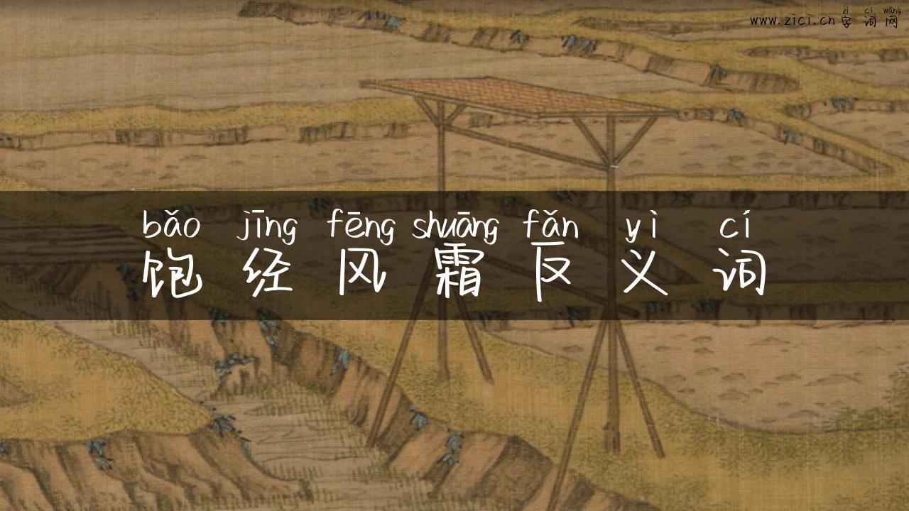 饱经风霜反义词
