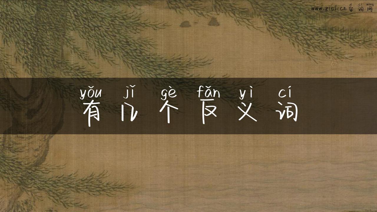 有几个反义词