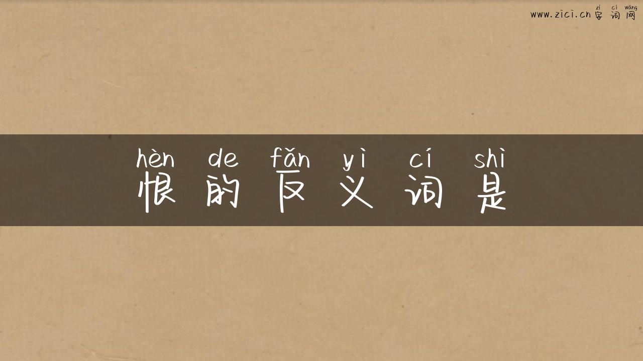 恨的反义词是