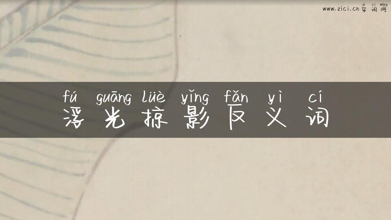 浮光掠影反义词