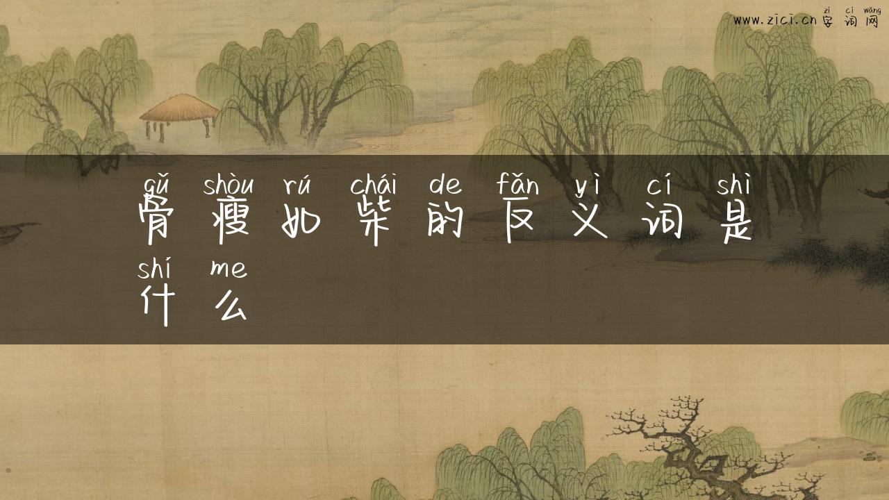 骨瘦如柴的反义词是什么