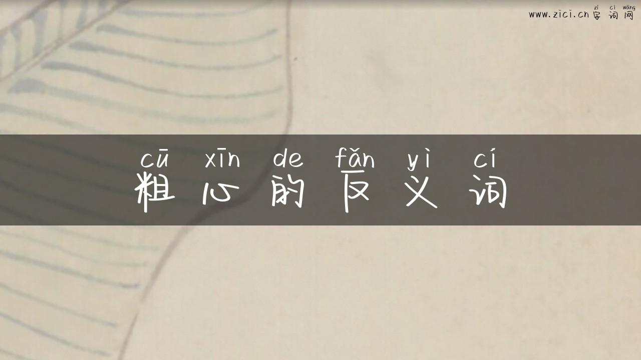 粗心的反义词
