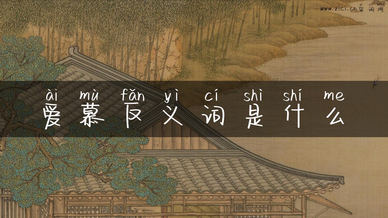 爱慕反义词是什么