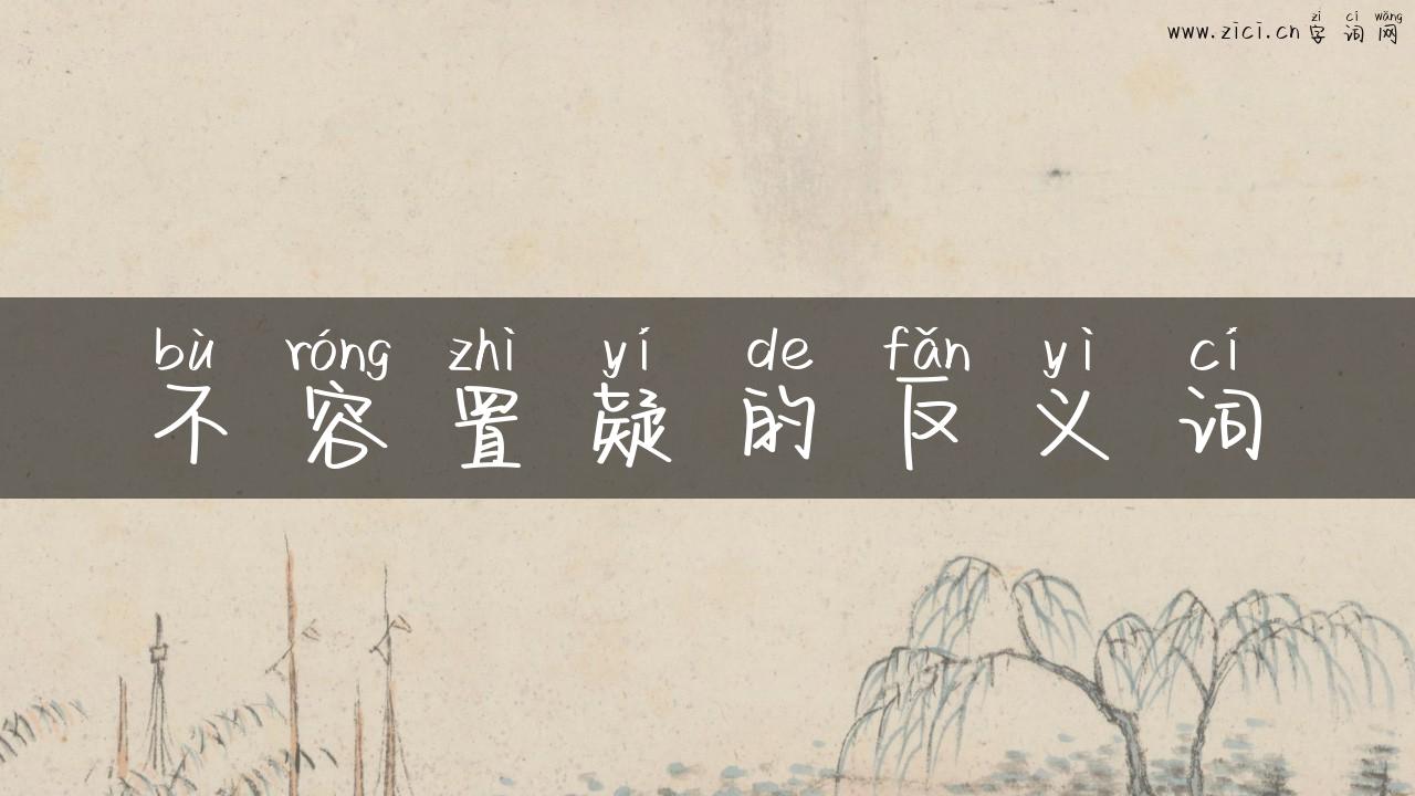 不容置疑的反义词