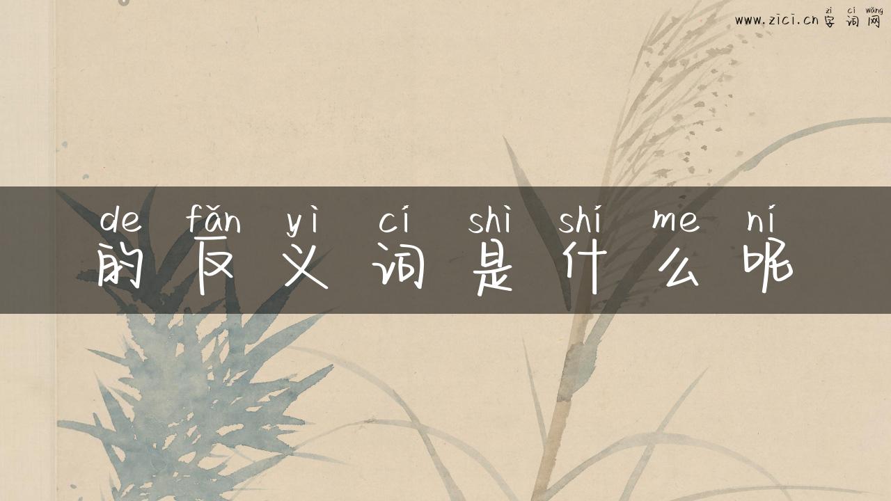 的反义词是什么呢