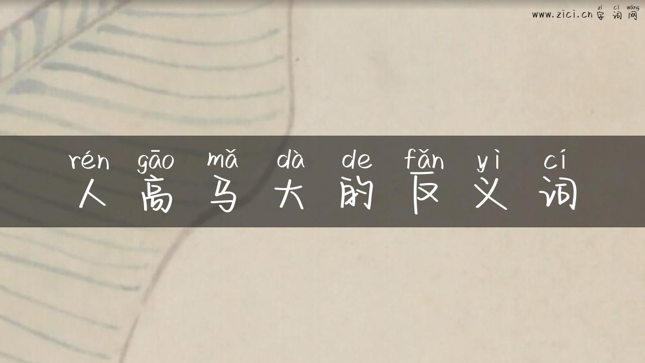 人高马大的反义词